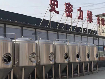 将乐精酿啤酒设备厂—市场规模与跨界新需求